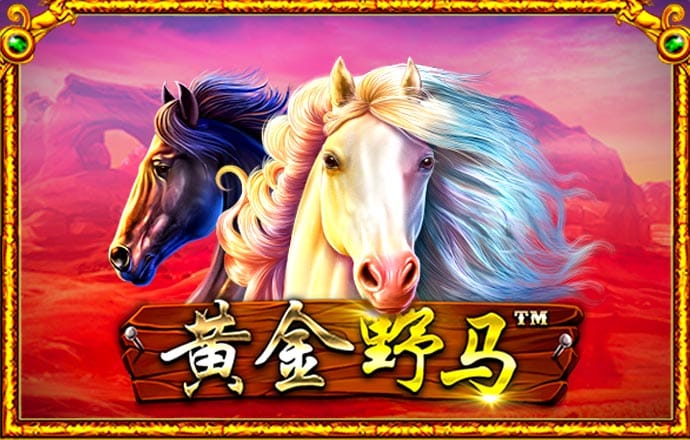 a8体育下载安装