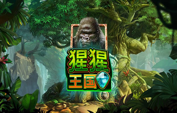 云开全站app下载